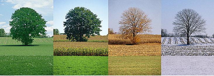 《虚实万象》制作人：没想到AI会发展这么迅速